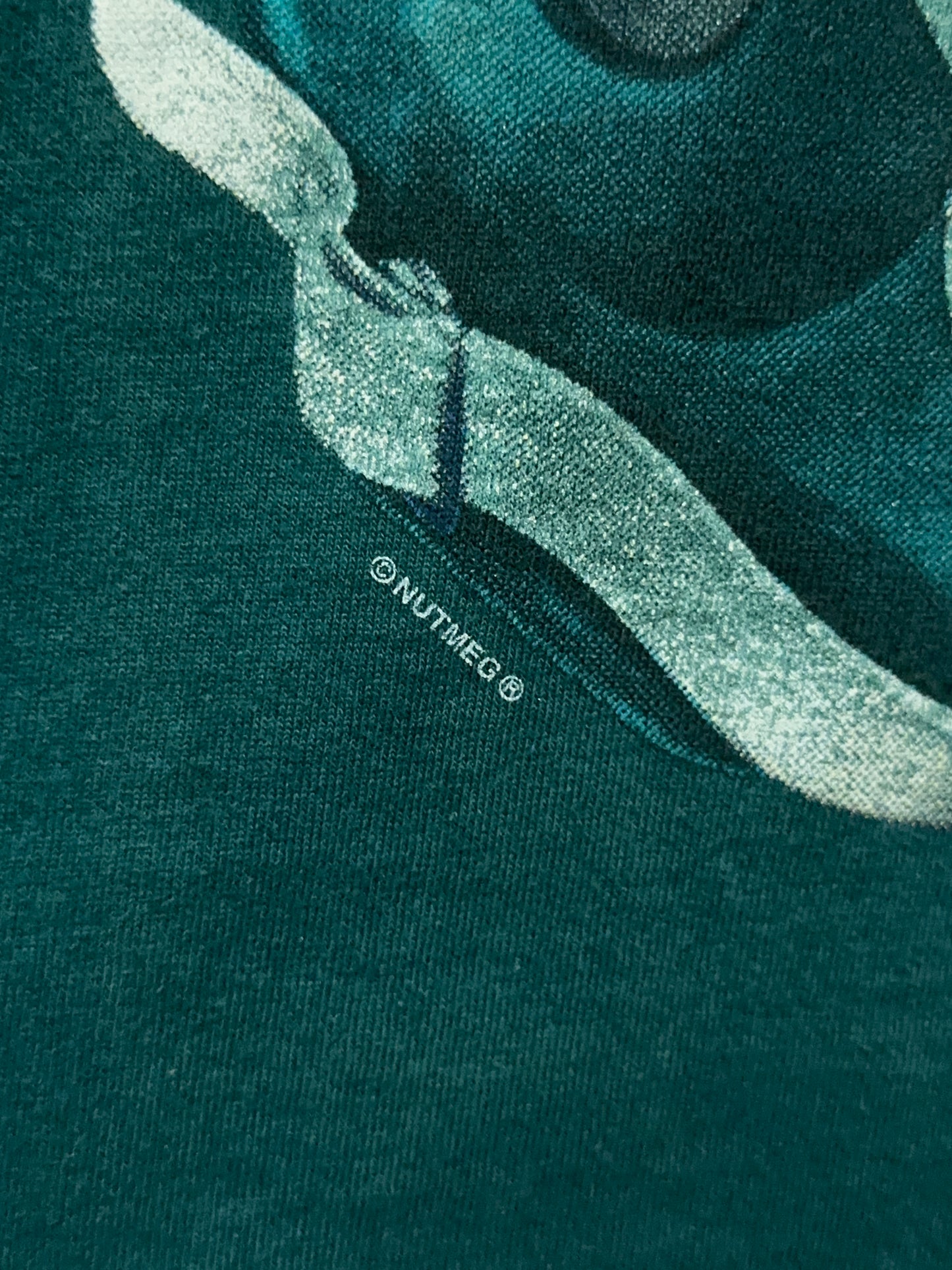 90s Philadelphia Eagles NFL Big Helmut Graphic Tee