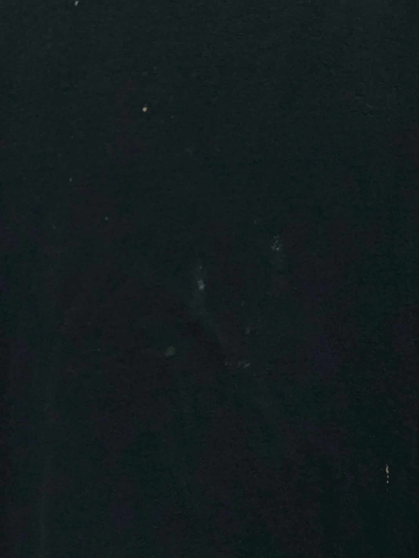 Y2K I Like Girls Adult Humor Tee XL