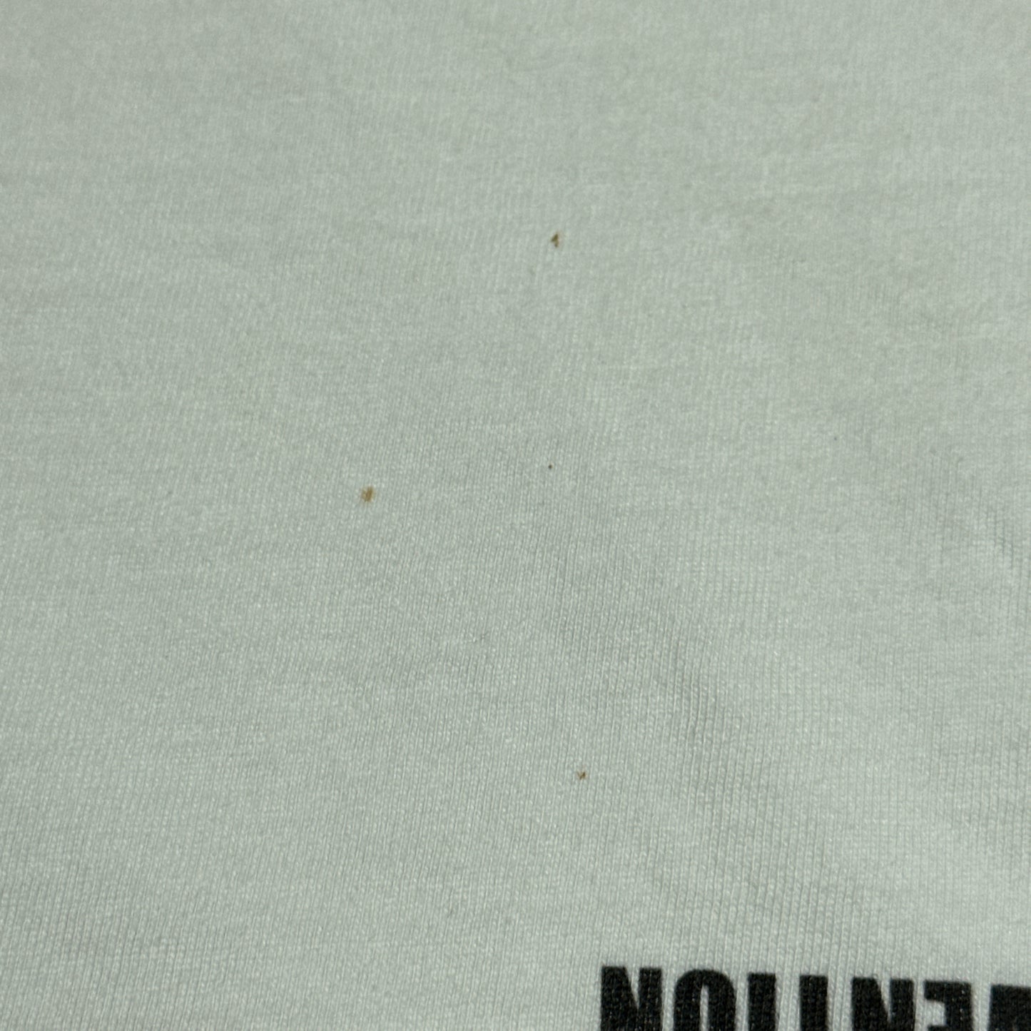 Chinatown Market I Survived 2019 California Earthquake Graphic Tee XL