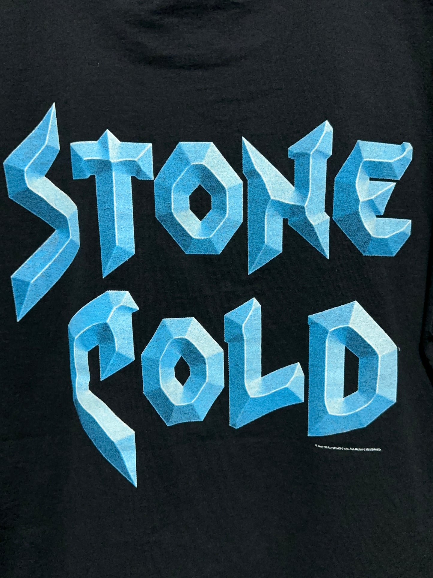 Vintage WWF Stone Cold Steve Austin 3:16 Stunner Wrestling Tee Medium