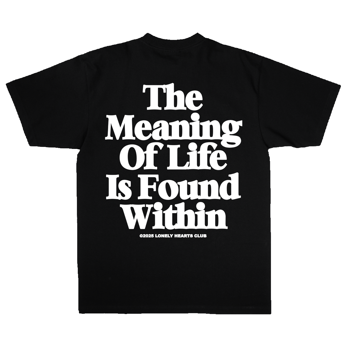 Lonely Hearts Club The Meaning Of Life Premium T-Shirt