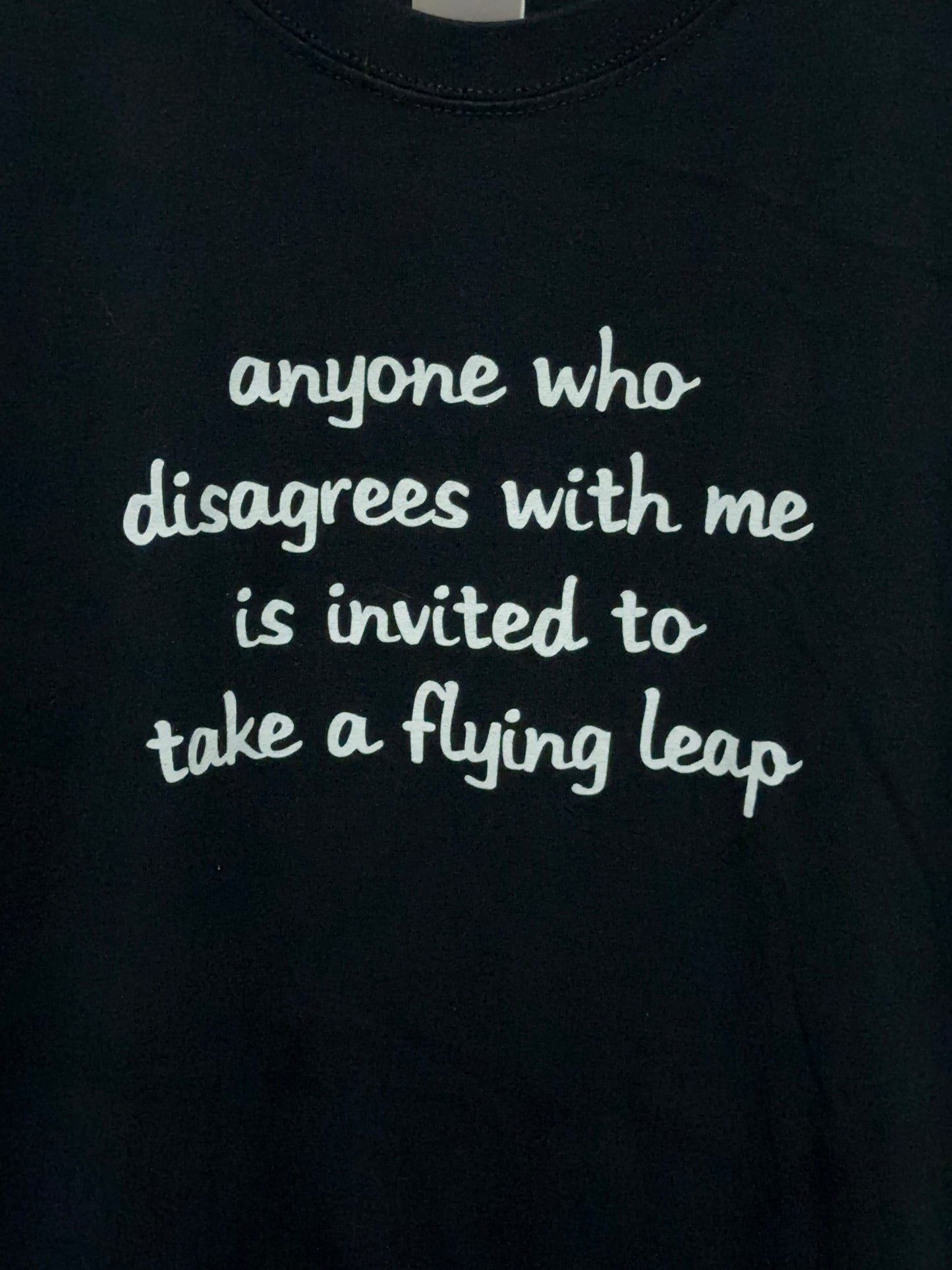 Y2K Take A Flying Leap Funny Adult Humor Tee XL