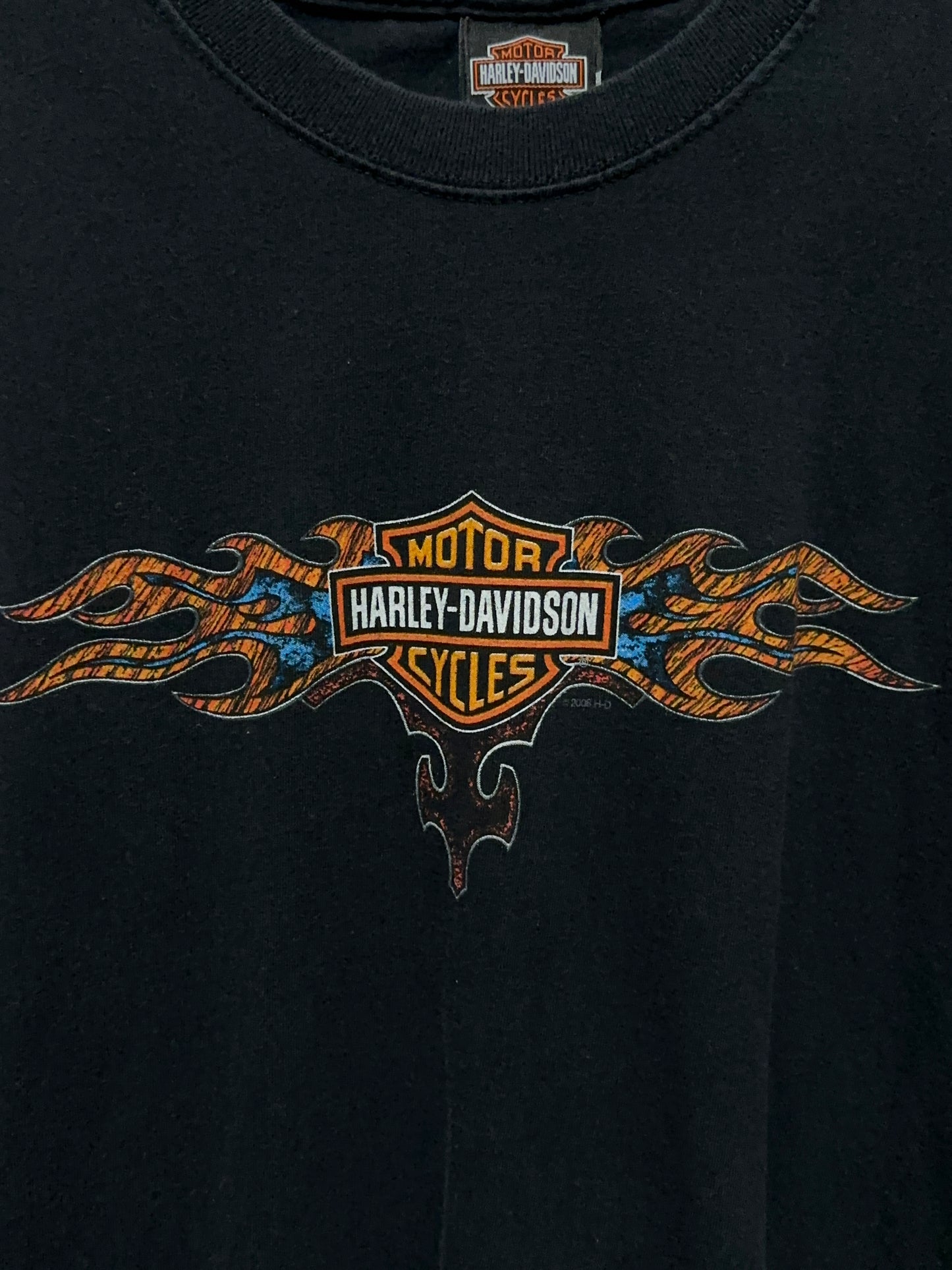 Harley Davidson Texas Flames Eagle Long Sleeve Tee Large