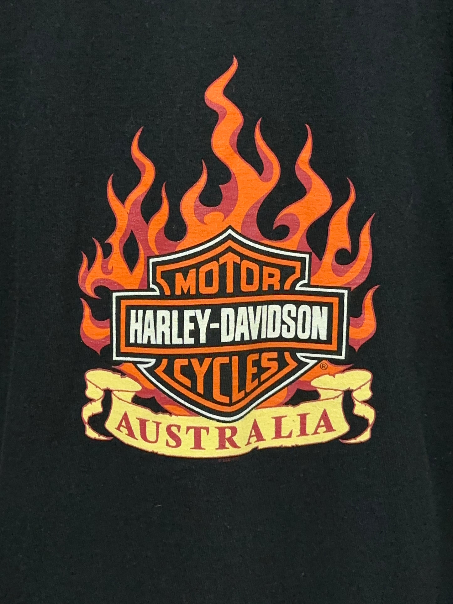 Vintage Harley Davidson Flames Logo Long Sleeve Graphic Tee Large