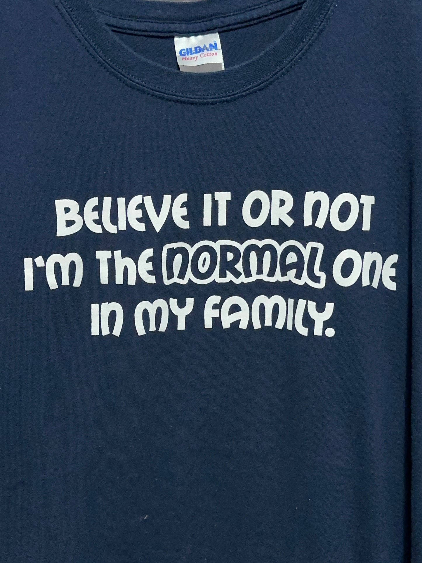 Y2K I'm The Normal One Funny Humor Tee XL