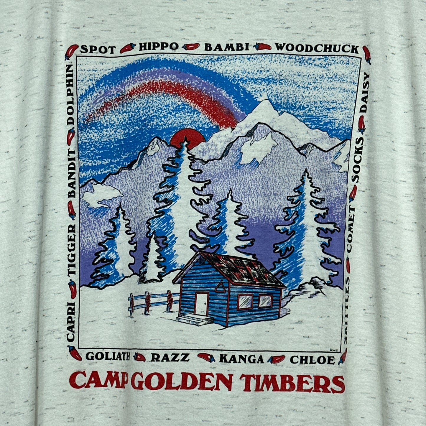 Vintage Camp Timber Nature Destination T-Shirt XL